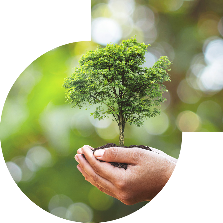 关怀人类、文化、环境与社会